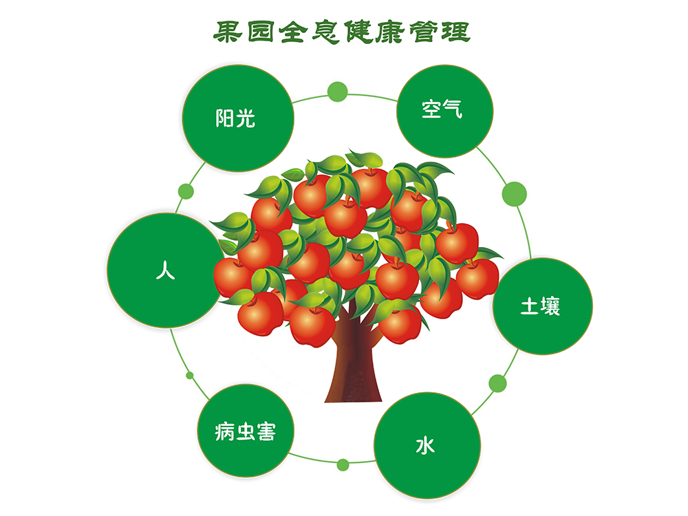 果園全息健康管理